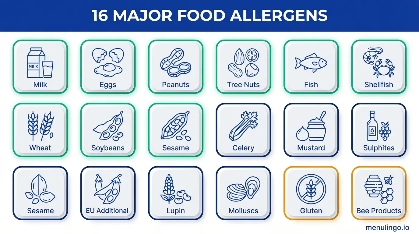 16 major food allergens restaurants must display including milk, eggs, nuts, shellfish, and gluten icons